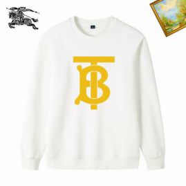 Picture of Burberry Sweatshirts _SKUBurberryM-3XL25tn11824827